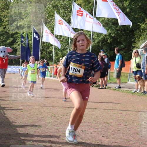 08.09.2024 - Airport Race Strokosch-Dieckow http://msf.ph/oto/7015576 08.09.2024 11:32:00 Ziel 1664, 1666, 1704, 1708, 1733, 1803, 1829, 1856, 3413 meine-sportfotos.de