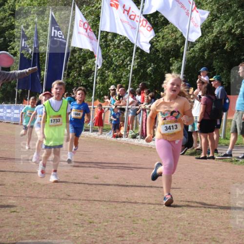 08.09.2024 - Airport Race Strokosch-Dieckow http://msf.ph/oto/7015596 08.09.2024 11:32:00 Ziel 1664, 1666, 1704, 1708, 1733, 1803, 1829, 1856, 3413 meine-sportfotos.de