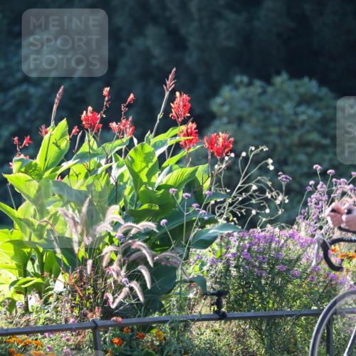 08.09.2024 - Stadtparktriathlon Zöllner http://msf.ph/oto/7015610 08.09.2024 09:29:27 Radfahren 108, 117 meine-sportfotos.de