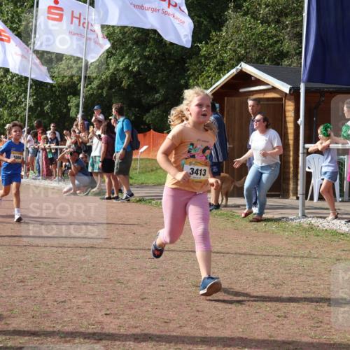 08.09.2024 - Airport Race Strokosch-Dieckow http://msf.ph/oto/7015665 08.09.2024 11:32:01 Ziel 1627, 1643, 1664, 1666, 1704, 1708, 1733, 1759, 1803, 1829, 1856, 3413 meine-sportfotos.de