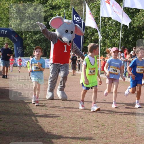 08.09.2024 - Airport Race Strokosch-Dieckow http://msf.ph/oto/7015702 08.09.2024 11:32:02 Ziel 1627, 1643, 1664, 1666, 1704, 1733, 1759, 1803, 1856, 3413 meine-sportfotos.de