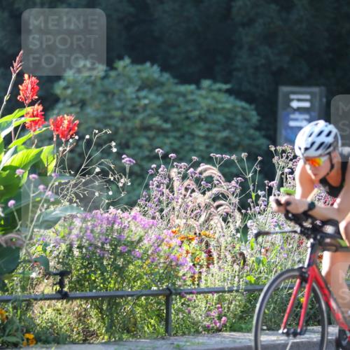08.09.2024 - Stadtparktriathlon Zöllner http://msf.ph/oto/7015710 08.09.2024 09:30:38 Radfahren 133, 153 meine-sportfotos.de