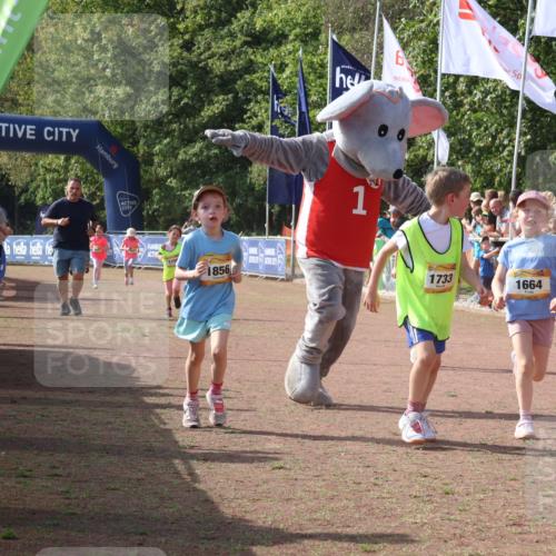 08.09.2024 - Airport Race Strokosch-Dieckow http://msf.ph/oto/7015720 08.09.2024 11:32:02 Ziel 1627, 1643, 1664, 1666, 1704, 1733, 1759, 1803, 1856, 3413 meine-sportfotos.de