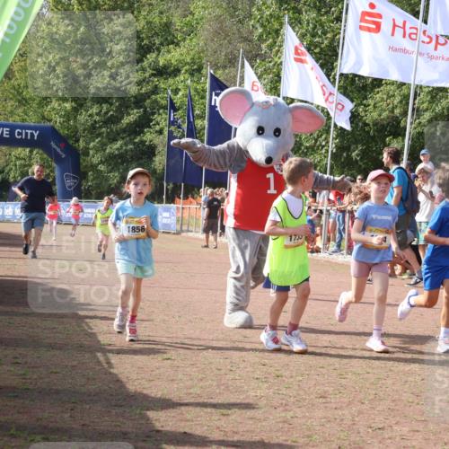 08.09.2024 - Airport Race Strokosch-Dieckow http://msf.ph/oto/7015738 08.09.2024 11:32:03 Ziel 1627, 1643, 1664, 1666, 1733, 1759, 1803, 1856, 3413 meine-sportfotos.de