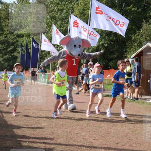 08.09.2024 - Airport Race Strokosch-Dieckow http://msf.ph/oto/7015770 08.09.2024 11:32:03 Ziel 1627, 1643, 1664, 1666, 1733, 1759, 1803, 1856, 3413 meine-sportfotos.de