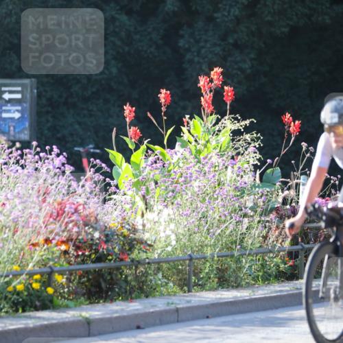 08.09.2024 - Stadtparktriathlon Zöllner http://msf.ph/oto/7015777 08.09.2024 09:31:36 Radfahren 119, 144, 151, 172 meine-sportfotos.de