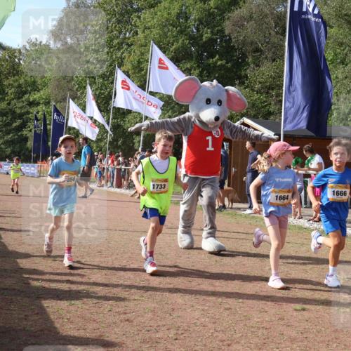 08.09.2024 - Airport Race Strokosch-Dieckow http://msf.ph/oto/7015861 08.09.2024 11:32:04 Ziel 1627, 1643, 1664, 1666, 1733, 1759, 1803, 1856, 3413 meine-sportfotos.de