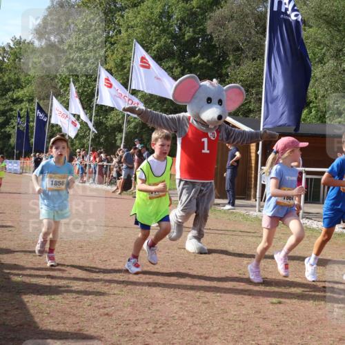 08.09.2024 - Airport Race Strokosch-Dieckow http://msf.ph/oto/7015883 08.09.2024 11:32:04 Ziel 1627, 1643, 1664, 1666, 1733, 1759, 1803, 1856, 3413 meine-sportfotos.de