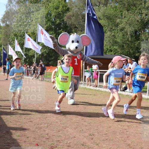 08.09.2024 - Airport Race Strokosch-Dieckow http://msf.ph/oto/7015908 08.09.2024 11:32:05 Ziel 1627, 1643, 1664, 1666, 1733, 1757, 1759, 1803, 1856 meine-sportfotos.de