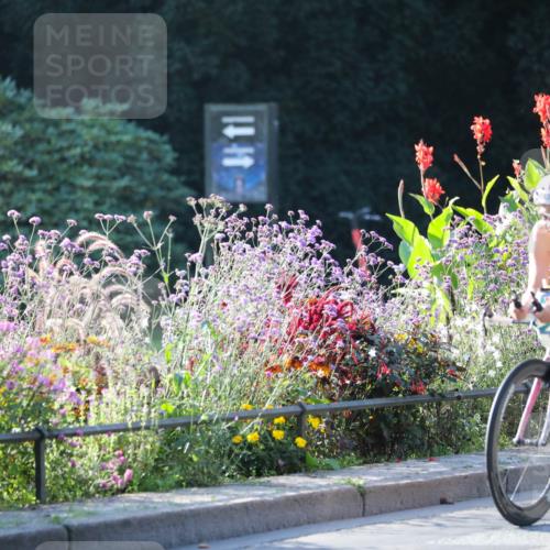 08.09.2024 - Stadtparktriathlon Zöllner http://msf.ph/oto/7015934 08.09.2024 09:34:08 Radfahren 104, 134, 145, 154, 159 meine-sportfotos.de