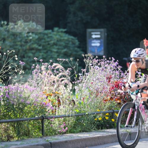 08.09.2024 - Stadtparktriathlon Zöllner http://msf.ph/oto/7015936 08.09.2024 09:34:08 Radfahren 104, 134, 145, 154, 159 meine-sportfotos.de