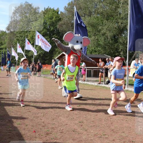 08.09.2024 - Airport Race Strokosch-Dieckow http://msf.ph/oto/7015939 08.09.2024 11:32:05 Ziel 1627, 1643, 1664, 1666, 1733, 1757, 1759, 1803, 1856 meine-sportfotos.de