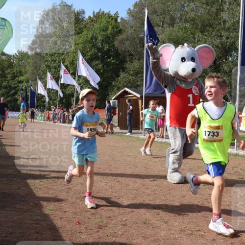 08.09.2024 - Airport Race Strokosch-Dieckow http://msf.ph/oto/7015953 08.09.2024 11:32:05 Ziel 1627, 1643, 1664, 1666, 1733, 1757, 1759, 1803, 1856 meine-sportfotos.de