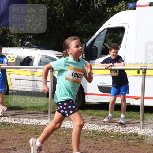 08.09.2024 - Airport Race Strokosch-Dieckow http://msf.ph/oto/7015966 08.09.2024 11:32:07 Ziel 1627, 1643, 1664, 1666, 1733, 1757, 1759, 1803, 1856 meine-sportfotos.de