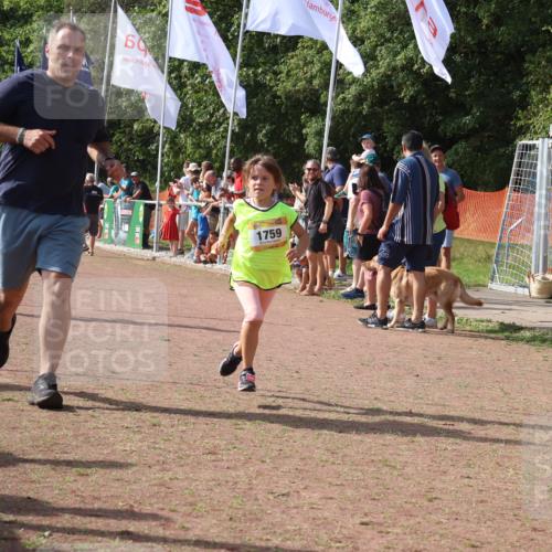 08.09.2024 - Airport Race Strokosch-Dieckow http://msf.ph/oto/7015988 08.09.2024 11:32:08 Ziel 1627, 1643, 1666, 1733, 1757, 1759, 1803, 1856 meine-sportfotos.de