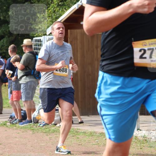 08.09.2024 - Airport Race Strokosch-Dieckow http://msf.ph/oto/7016035 08.09.2024 12:07:04 Ziel 2520, 2688, 2772, 2831 meine-sportfotos.de