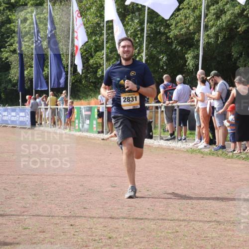 08.09.2024 - Airport Race Strokosch-Dieckow http://msf.ph/oto/7016098 08.09.2024 12:07:06 Ziel 2520, 2688, 2772, 2831 meine-sportfotos.de