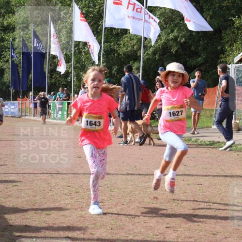 08.09.2024 - Airport Race Strokosch-Dieckow http://msf.ph/oto/7016135 08.09.2024 11:32:10 Ziel 1627, 1643, 1757, 1759 meine-sportfotos.de