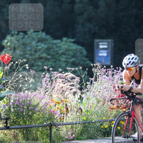 08.09.2024 - Stadtparktriathlon Zöllner http://msf.ph/oto/7016232 08.09.2024 09:37:32 Radfahren 133 meine-sportfotos.de