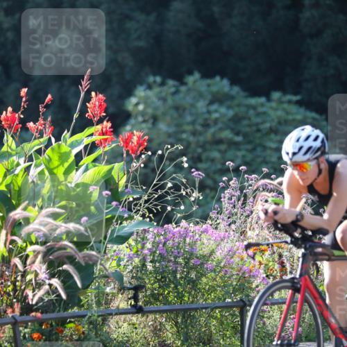 08.09.2024 - Stadtparktriathlon Zöllner http://msf.ph/oto/7016239 08.09.2024 09:37:32 Radfahren 133 meine-sportfotos.de