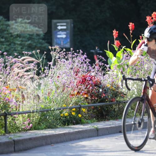 08.09.2024 - Stadtparktriathlon Zöllner http://msf.ph/oto/7016379 08.09.2024 09:38:24 Radfahren 131, 144 meine-sportfotos.de