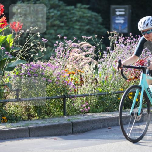 08.09.2024 - Stadtparktriathlon Zöllner http://msf.ph/oto/7016396 08.09.2024 09:38:27 Radfahren 131, 144, 172 meine-sportfotos.de