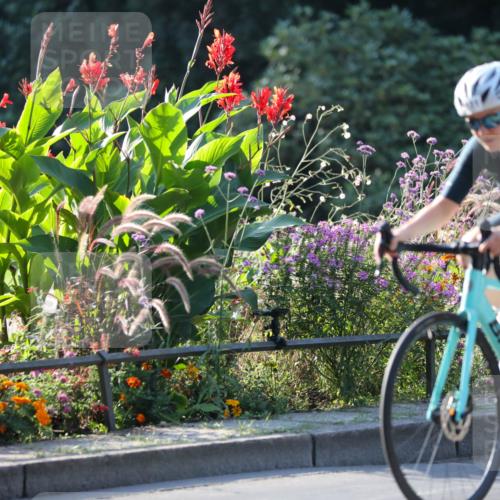 08.09.2024 - Stadtparktriathlon Zöllner http://msf.ph/oto/7016403 08.09.2024 09:38:27 Radfahren 131, 144, 172 meine-sportfotos.de