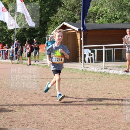 08.09.2024 - Airport Race Strokosch-Dieckow http://msf.ph/oto/7016660 08.09.2024 11:32:33 Ziel 1734 meine-sportfotos.de