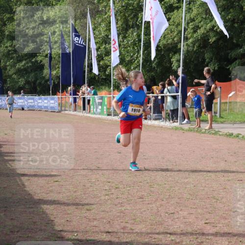 08.09.2024 - Airport Race Strokosch-Dieckow http://msf.ph/oto/7016777 08.09.2024 11:32:51 Ziel 1910 meine-sportfotos.de