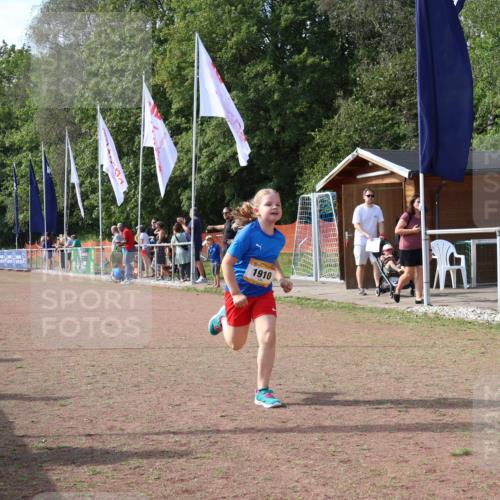 08.09.2024 - Airport Race Strokosch-Dieckow http://msf.ph/oto/7016800 08.09.2024 11:32:52 Ziel 1601, 1910 meine-sportfotos.de