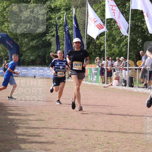 08.09.2024 - Airport Race Strokosch-Dieckow http://msf.ph/oto/7016804 08.09.2024 12:07:32 Ziel 2731, 2773, 2872, 2899 meine-sportfotos.de