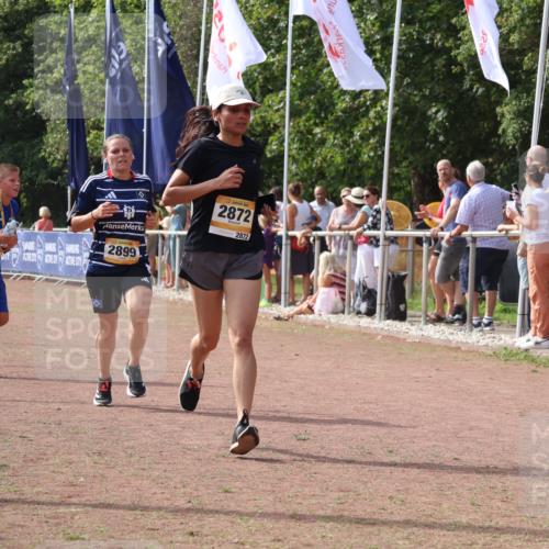 08.09.2024 - Airport Race Strokosch-Dieckow http://msf.ph/oto/7016825 08.09.2024 12:07:32 Ziel 2731, 2773, 2872, 2899 meine-sportfotos.de