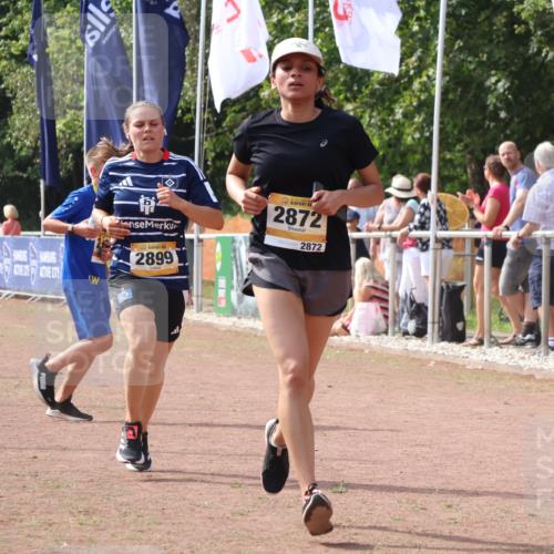 08.09.2024 - Airport Race Strokosch-Dieckow http://msf.ph/oto/7016841 08.09.2024 12:07:32 Ziel 2731, 2773, 2872, 2899 meine-sportfotos.de