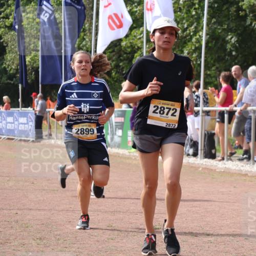 08.09.2024 - Airport Race Strokosch-Dieckow http://msf.ph/oto/7016856 08.09.2024 12:07:33 Ziel 2731, 2773, 2872, 2899 meine-sportfotos.de