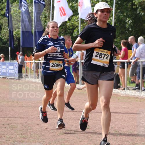 08.09.2024 - Airport Race Strokosch-Dieckow http://msf.ph/oto/7016872 08.09.2024 12:07:33 Ziel 2731, 2773, 2872, 2899 meine-sportfotos.de