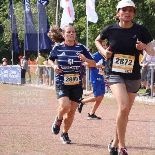 08.09.2024 - Airport Race Strokosch-Dieckow http://msf.ph/oto/7016890 08.09.2024 12:07:33 Ziel 2731, 2773, 2872, 2899 meine-sportfotos.de