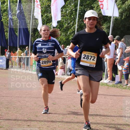 08.09.2024 - Airport Race Strokosch-Dieckow http://msf.ph/oto/7016901 08.09.2024 12:07:33 Ziel 2731, 2773, 2872, 2899 meine-sportfotos.de