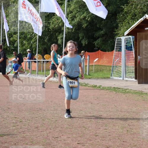 08.09.2024 - Airport Race Strokosch-Dieckow http://msf.ph/oto/7016902 08.09.2024 11:33:01 Ziel 1601 meine-sportfotos.de