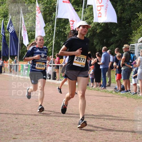 08.09.2024 - Airport Race Strokosch-Dieckow http://msf.ph/oto/7016928 08.09.2024 12:07:33 Ziel 2731, 2773, 2872, 2899 meine-sportfotos.de