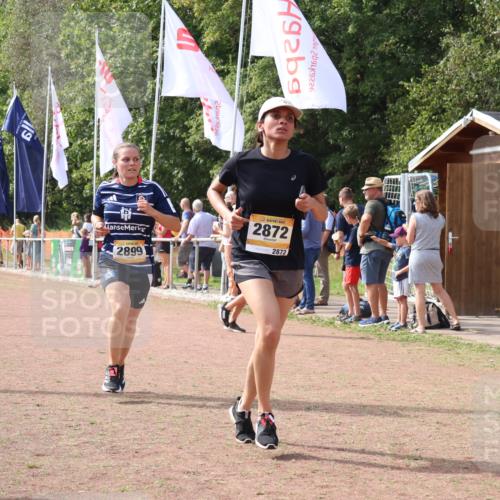 08.09.2024 - Airport Race Strokosch-Dieckow http://msf.ph/oto/7016946 08.09.2024 12:07:34 Ziel 1361, 2634, 2731, 2773, 2872, 2899 meine-sportfotos.de