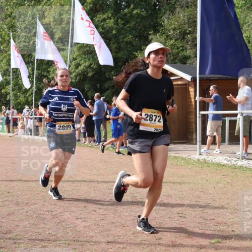 08.09.2024 - Airport Race Strokosch-Dieckow http://msf.ph/oto/7017009 08.09.2024 12:07:34 Ziel 1361, 2634, 2731, 2773, 2872, 2899 meine-sportfotos.de