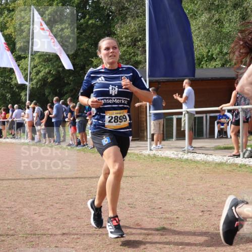 08.09.2024 - Airport Race Strokosch-Dieckow http://msf.ph/oto/7017067 08.09.2024 12:07:35 Ziel 1361, 2634, 2773, 2872, 2879, 2899 meine-sportfotos.de