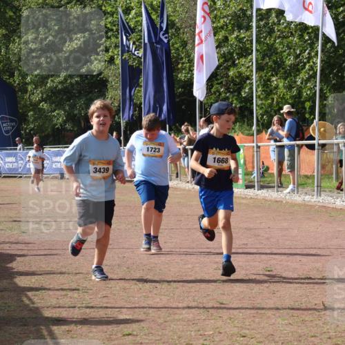 08.09.2024 - Airport Race Strokosch-Dieckow http://msf.ph/oto/7017130 08.09.2024 11:33:17 Ziel 1668, 1723, 3431, 3439 meine-sportfotos.de