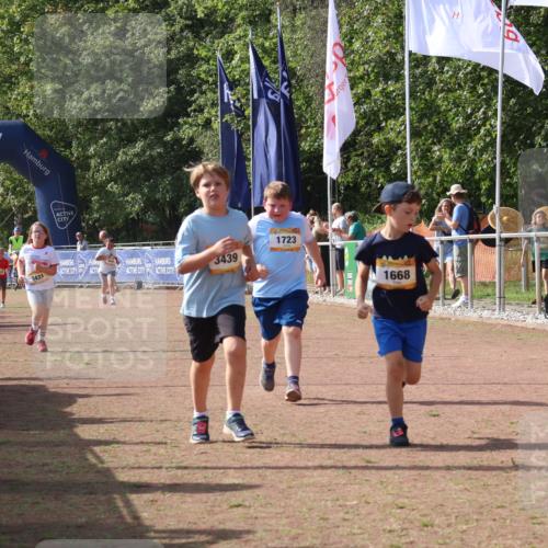 08.09.2024 - Airport Race Strokosch-Dieckow http://msf.ph/oto/7017155 08.09.2024 11:33:18 Ziel 1668, 1723, 3431, 3439 meine-sportfotos.de