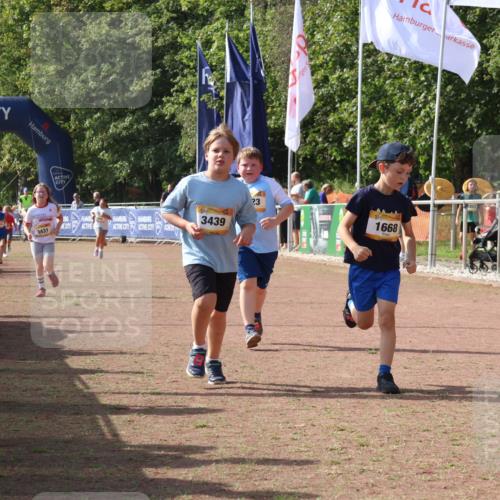 08.09.2024 - Airport Race Strokosch-Dieckow http://msf.ph/oto/7017174 08.09.2024 11:33:18 Ziel 1668, 1723, 3431, 3439 meine-sportfotos.de