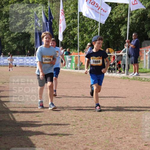 08.09.2024 - Airport Race Strokosch-Dieckow http://msf.ph/oto/7017191 08.09.2024 11:33:18 Ziel 1668, 1723, 3431, 3439 meine-sportfotos.de