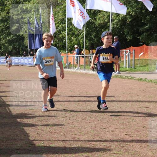 08.09.2024 - Airport Race Strokosch-Dieckow http://msf.ph/oto/7017245 08.09.2024 11:33:19 Ziel 1668, 1723, 3431, 3439 meine-sportfotos.de