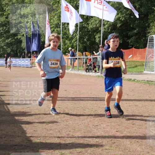 08.09.2024 - Airport Race Strokosch-Dieckow http://msf.ph/oto/7017273 08.09.2024 11:33:19 Ziel 1668, 1723, 3431, 3439 meine-sportfotos.de