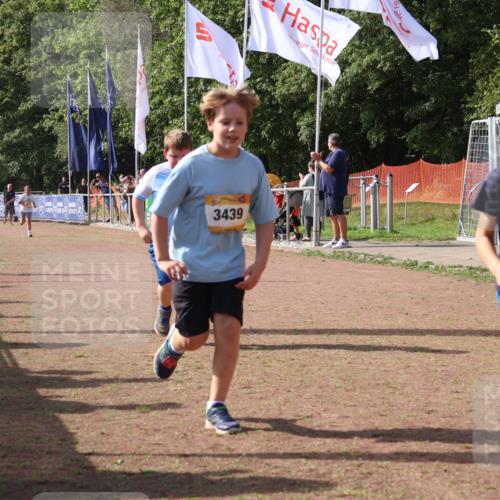 08.09.2024 - Airport Race Strokosch-Dieckow http://msf.ph/oto/7017315 08.09.2024 11:33:20 Ziel 1668, 1723, 3431, 3439 meine-sportfotos.de