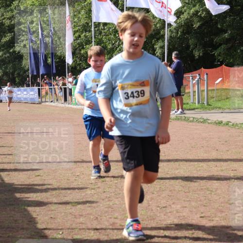 08.09.2024 - Airport Race Strokosch-Dieckow http://msf.ph/oto/7017337 08.09.2024 11:33:20 Ziel 1668, 1723, 3431, 3439 meine-sportfotos.de